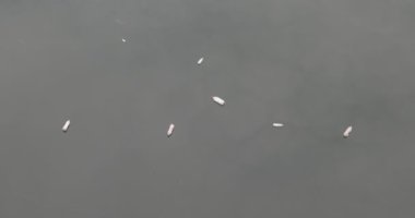 Plastik şişe üzerinde yüzen kirli ve çöp dolu su kirlenmiş. Bulutlar yansıtan su.