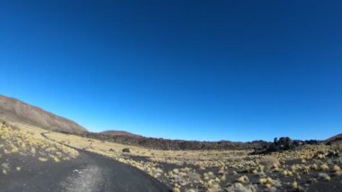 Stabilize kamera hareketi üzerinde La Payunia Ulusal Park, Malarge, Mendoza, Arjantin Cuyo, ileriye otomobili kavradı. Siyah ve kırmızı dağlar ve volkanlar lapillis volkanik taş altın otlar ile yapılan.