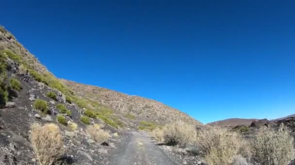 今後のラ Payunia 国立公園 Malarge にクヨ アルゼンチンのメンドーサの車に安定したカメラの動きをつかんだ 黒と赤の山と黄金草と Lapillis 火山岩類の火山 — ストック動画