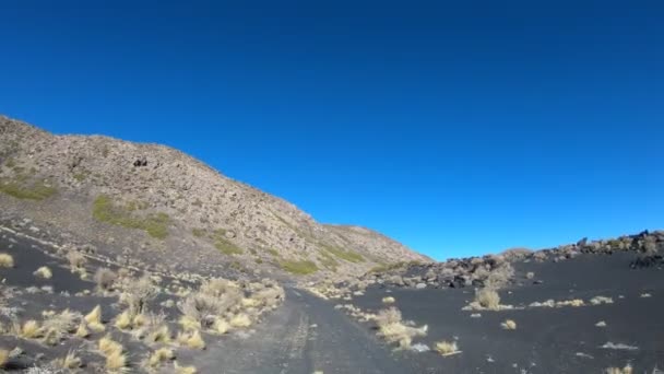 今後のラ Payunia 国立公園 Malargue にクヨ アルゼンチンのメンドーサの車に安定したカメラの動きをつかんだ 黒と赤の山と黄金草と Lapillis 火山岩類の火山 — ストック動画