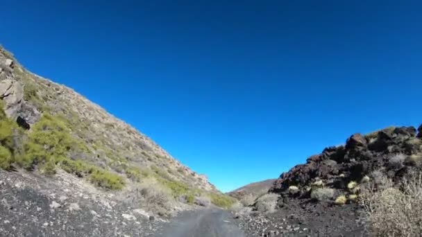 Stabilized Camera Movement Gripped Car Going Forward Payunia National Park — Stock Video