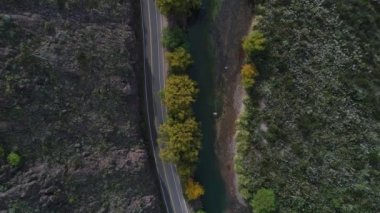 Hava dron sahne üst görüntülemek Atuel nehir, willows ve San Rafael, Mendoza Cuyo Arjantin Caddesi. Kamera hareket iletir, küçük ev ve araba park. Kayalar ve su akan yeşil algler.