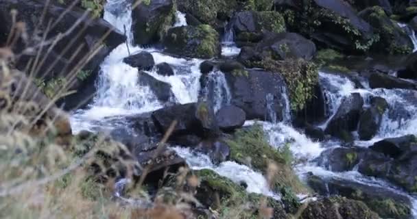 Acqua Che Scorre Tra Rocce Sul Piccolo Fiume Dalla Cascata — Video Stock