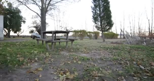 Leri Bir Ahşap Yıpranmış Tabloya Yapraklarla Üzerine Stabilize Kamera Hareket — Stok video