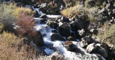 La Fragua şelale Manzano Amargo, Neuquen, Patagonya Arjantin küçük nehirden buzlu arasında akan su. Derma ağaçları ile sonbahar, sonbahar sahne.
