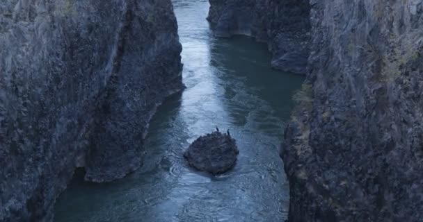 Río Grande Pasando Por Senderos Lava Región Payunia Pájaros Cormoranes — Vídeos de Stock