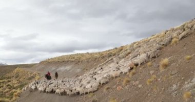 Koyun, keçi düşünce yürüyüş çakıl yol ve artan dağ yamaçları, kovboy, kovboy, hayvan stokunun kışı için yol gösterici. Göçebeleri: Geleneksel, kültürel hayvanların sıcak bölgelere taşıma
