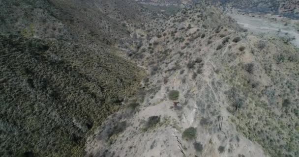 空中无人机现场的缆车 Chilecito Mejicana 马尔贝克山脉和山谷中部的塔线形分布的一般视图 相机沿电缆向后移动 — 图库视频影像