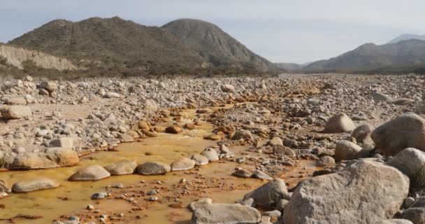 黄色川 チレシト オークル岩の渓谷に沿って流れる水の詳細です 山や森の背景で カメラはまだ残っています リオハ州 アルゼンチン — ストック動画