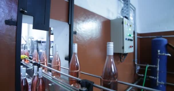 Ροζ Μπουκάλια Κρασιού Διέρχεται Μπάντα Προς Συσκευασία Peolple Επιλογή Μπουκάλια — Αρχείο Βίντεο
