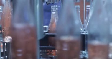 Pembe şarap şişeleri bant ambalaj doğru geçmekte. Ön odak makine dışarı Şişe doldurma. Yiyecek, İçecek, üretim sanayi. Verimli hızlı sistem. Mendoza, Arjantin