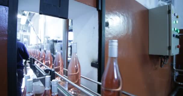 Botellas Vino Rosa Pasando Por Banda Hacia Embalaje Peolple Seleccionando — Vídeos de Stock