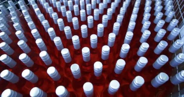 Detalle Del Grupo Botellas Vino Rosado Cesto Metal Etapa Almacenamiento — Vídeos de Stock