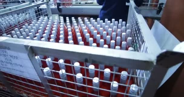Roze Wijn Flessen Verpakking Fase Persoon Grijpen Glazen Flessen Stapelen — Stockvideo