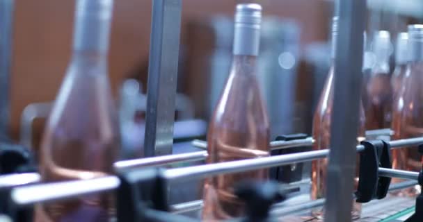 Detalhe Garrafas Vinho Rosa Passando Pela Banda Linha Para Embalagem — Vídeo de Stock