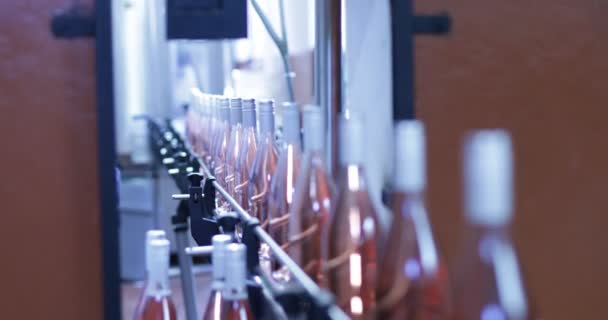 Bouteilles Vin Rose Passant Par Bande Vers Emballage Renvoyer Processus — Video