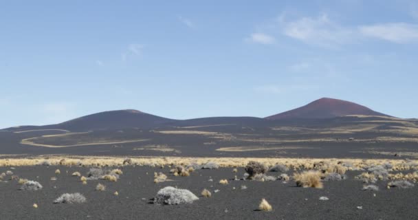 Parque Nacional Payunia Zona Volcánica Lapillis Sustrato Volcánico Fondo Montañas — Vídeo de stock