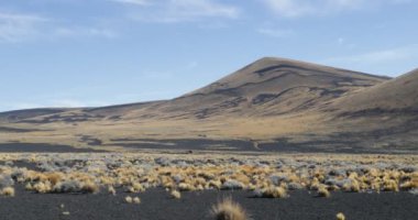 Payunia Milli Parkı, volkanik bölge lapillis, volkanik substrat yapılan. Arka plan siyah ve altın dağları. Kamera hala kalır. Malarge, Cuyo, Mendoza, Argentina.