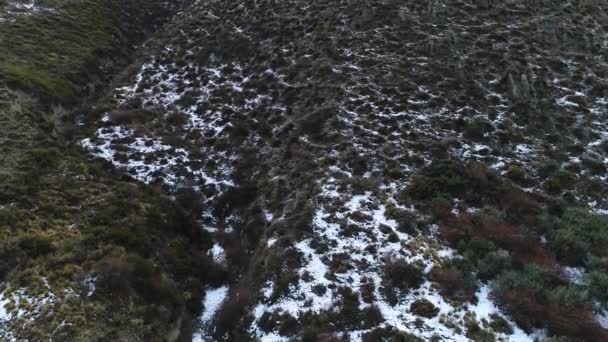Antenowe Drone Scena Kondor Vultur Gryphus Skoki Skały Zboczu Wzgórza — Wideo stockowe