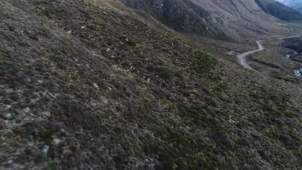 安第斯秃鹰 Vultur Gryphus 的空中无人机场景在山谷中飞行 相机从后面跟着鸟 背景砾石路 河和山 阿根廷门多萨 — 图库视频影像