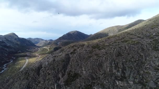 Adegan Drone Udara Dari Kelompok Andean Condor Vultur Gryphus Terbang — Stok Video