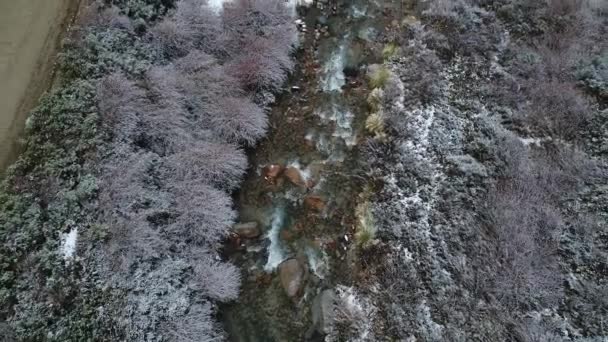 空中景观 以看到透明的水沿着岩石屯岩河流动 海岸上的多雪植被 深谷和山的背景 冬天寒冷的日子 Valle Uco Mendoza — 图库视频影像