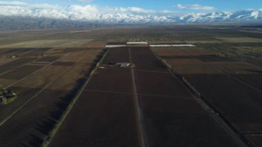Bağ kışın hava dron sahne. Arka plan beyaz karlı dağları. Üzüm üretiminin uçan çok yüksek genel görünümü. Mendoza, Arjantin