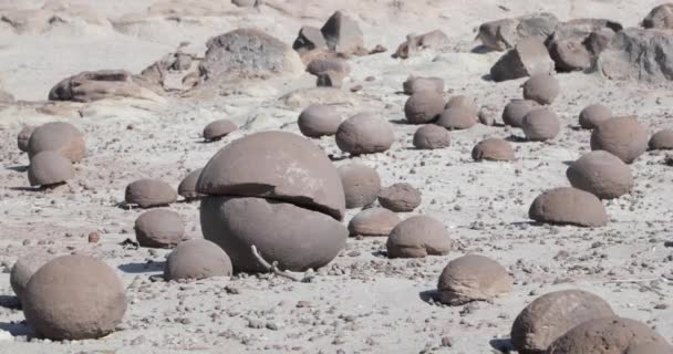 Λεπτομέρεια από σπασμένα στρογγυλεμένες μπάλα βράχο, στο campo de bochas, πάνω από την άμμο γεωλογικός σχηματισμός στο Επαρχιακό πάρκο Ischigualasto. Επαρχία Rioja, παγκόσμιας φυσικής κληρονομιάς — Αρχείο Βίντεο