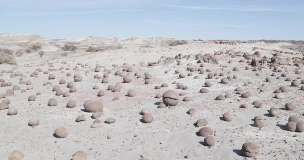 ボールの詳細を岩、カンポ ・ デ ・ bochas、Ischigualasto 州立公園で砂の地層の上。リオハ州、世界自然遺産。アルゼンチン — ストック動画