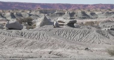 Beyaz manzara gullies, Kuru nehir ve uzun boylu kaya oluşumları ile aşınmış. Ay Vadisi, kırmızı kayalıklarla, arka plan, dağlar. Ischigualasto Provincial Park, Rioja Eyaleti, Arjantin