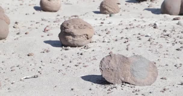 カンポ ・ デ ・ bochas、Ischigualasto 州立公園で砂の地層の上に、壊れた丸いボール岩の詳細。リオハ州、世界自然遺産 — ストック動画