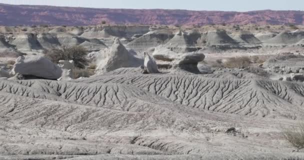 Fehér táj vízmosások, száraz folyók és magas sziklaalakzatok erodálódott. Moon Valley, vörös sziklák, hegyek a háttérben. Ischigualasto Provincial Park, Rioja tartomány, Argentína — Stock videók