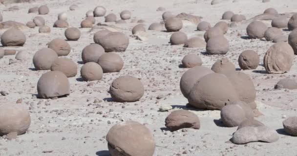 Detalj av boll stenar, campo de bochas, över sand geologisk formation i Ischigualasto Provincial Park. Rioja-provinsen, Världsnaturarv. Argentina — Stockvideo