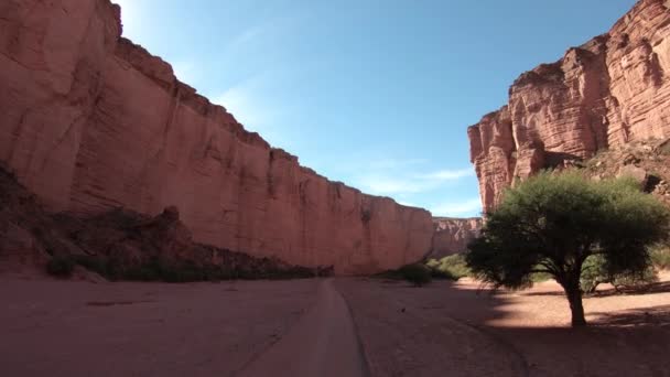 Traveling Talampaya Red Canyon National Park Landscape Red Tall Rocky — Stock Video