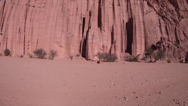 Detail Der Winderosion Felsennadeln Benannt Die Kathedrale Talampaya Nationalpark Schwenk — Stockvideo