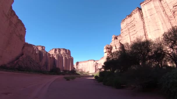 Utazás Talampaya Red Canyon Nemzeti Park Táj Piros Magas Sziklás — Stock videók