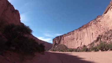 Talampaya Kırmızı Kanyon Milli Parkı içinde seyahat. Kırmızı uzun boylu kayalık duvar kenarlarında, doğal bitki örtüsü. Rioja Eyaleti, Arjantin. Dünya doğal mirası.