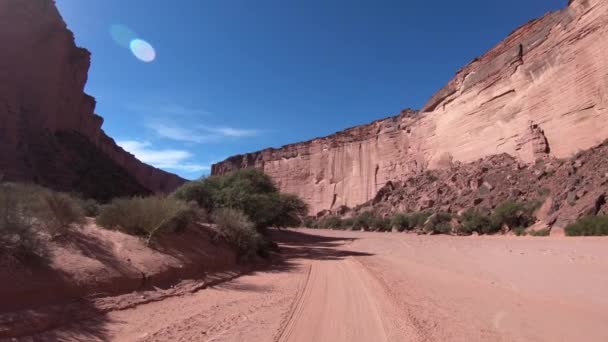 在塔兰帕亚红峡谷国家公园内旅行 两侧有红色高大的岩石墙和当地的植被 阳光的照射 阿根廷里奥哈省 世界自然遗产 — 图库视频影像