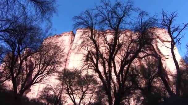 在塔兰帕亚红峡谷国家公园的原生植被树林内旅行 红色高大的岩石墙被太阳照亮 背景是树冠 世界自然遗产 — 图库视频影像