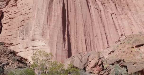 Detalle de altas paredes de roca roja, chimeneas, del Cañón Talampaya en el Parque Nacional. Cámara panorámica desde el suelo hasta la cima del acantilado. Formación geomorfa. Patrimonio natural de la humanidad — Vídeos de Stock