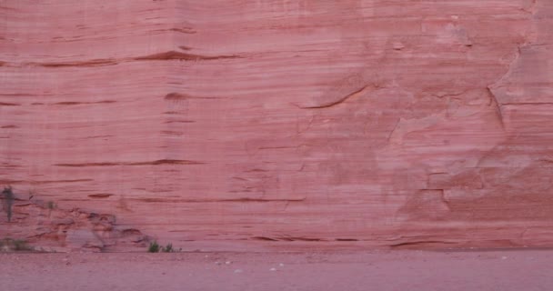 Uzun boylu kırmızı kaya duvarları Talampaya Kanyon Milli Parkı içinde ayrıntı. Kattan uçurumun tepesine panning fotoğraf makinesi. Geomorphical oluşumu. Dünya doğal mirası — Stok video