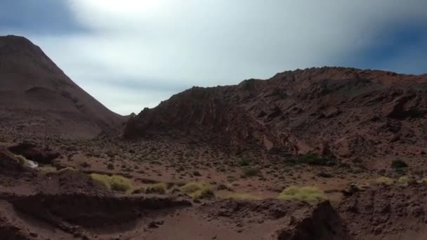 소풍에서 Brava 라군으로 Desaguadero 배경에서 산맥입니다 Vinchina 리오하 아르헨티나에서 — 비디오
