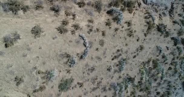 Escena aérea de drones de coloridas montañas hechas de arenisca erosionada, montañas Famatina. Escena sensual descubriendo las rayas de colores y esculturas de drenaje natural. El Pesebre. La Rioja . — Vídeos de Stock