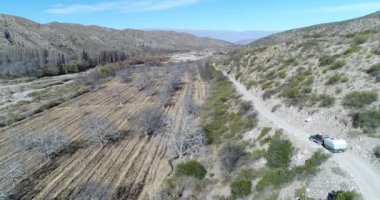 Van Famatina Dağları'nda sarı Nehri Vadisi üzerinde nogales bitkileri yanında çakıl yollarda seyahat römork ile hava dron sahne. Kamera 4 x 4 araba izler. La Rioja, Arjantin.