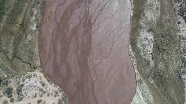 Escena del dron aéreo senital del río Fiambala. Dibujos venosos realizados por el flujo y el movimiento del agua sobre la curva del río arena. Vista general a gran altitud del río y ambas costas. Catamarca, Argentina — Vídeo de stock