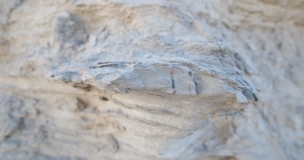 Detalhe Arenito Camada Branca Câmera Mostrando Imagem Macro Rocha Sedimentar — Vídeo de Stock