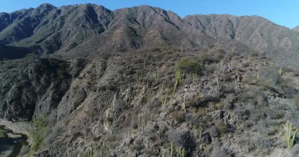 Scène Aérienne Drone Montagne Rocheuse Avec Cactus Arbres Arbustes Voler — Video
