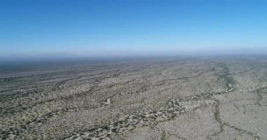Desertic peyzaj, kumlu yüzey vains olarak bitki örtüsü desenleri ile hava dron sahne. And condor, Vultur gryphus, gökyüzünde uçan. Rioja Eyaleti, Arjantin
