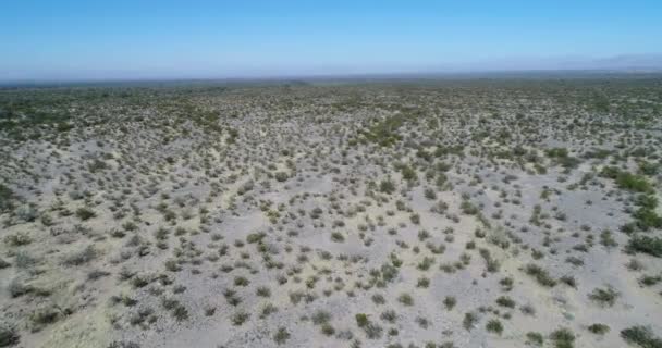 Aerial Drone Scene Desertic Landscape Sandy Surface Vegetation Patterns Vains — Stock Video