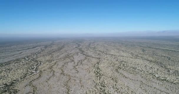 Luchtfoto Drone Scène Van Desertic Landschap Zandige Oppervlak Met Vegetatie — Stockvideo